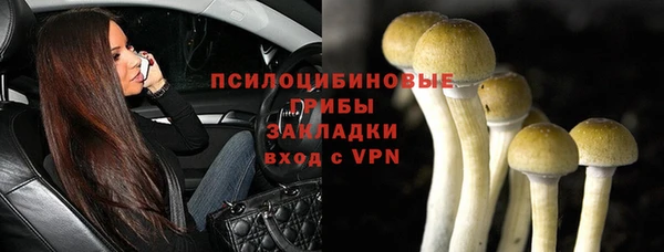 амф Балахна
