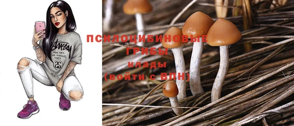 амф Балахна