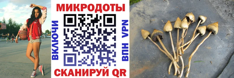 hydra tor  Заречный  Псилоцибиновые грибы ЛСД 