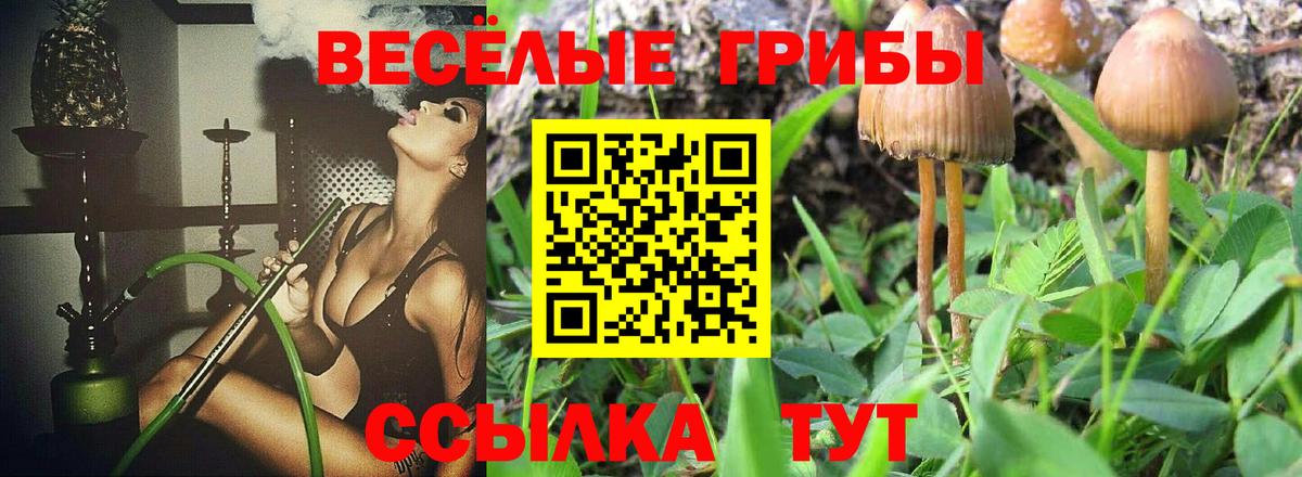 Псилоцибиновые грибы GOLDEN TEACHER Заречный